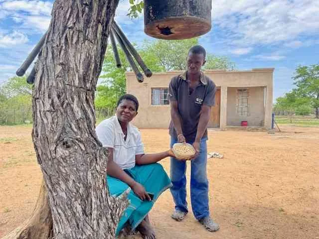 Remote Matobo farms grapple with water woes