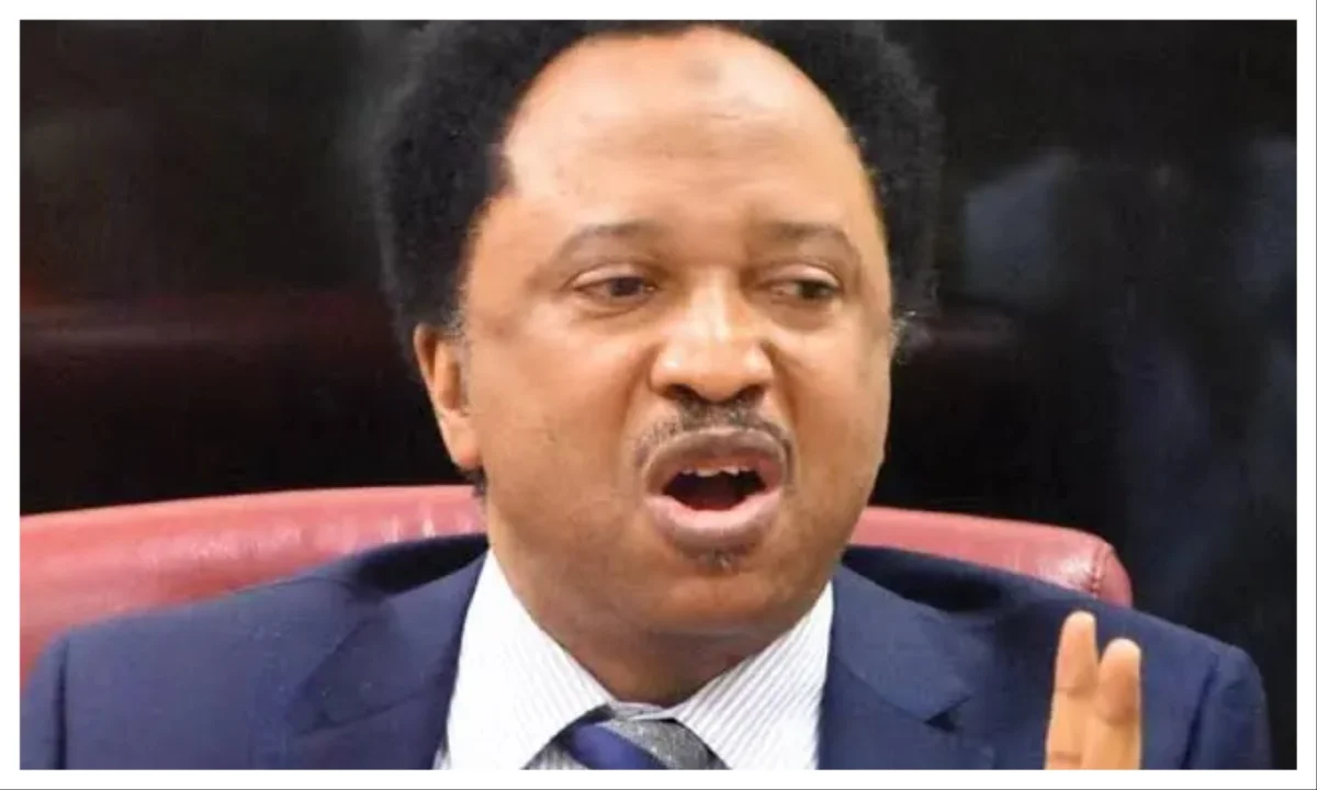 Sani demands the truth on the mystery subsidy trillions