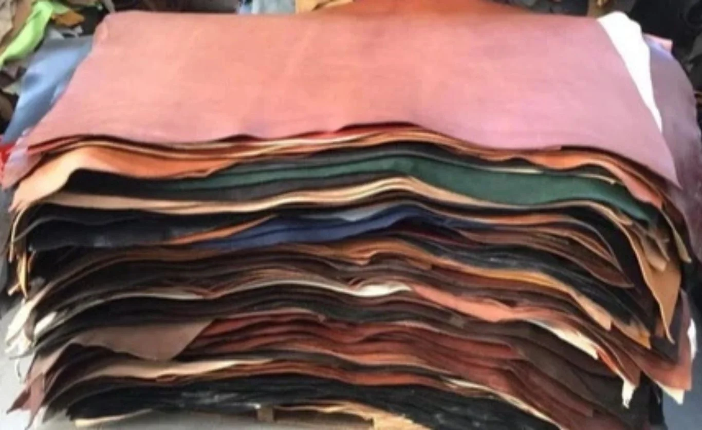 Shaheen Ahamed warns Savar tanneries choke leather exports