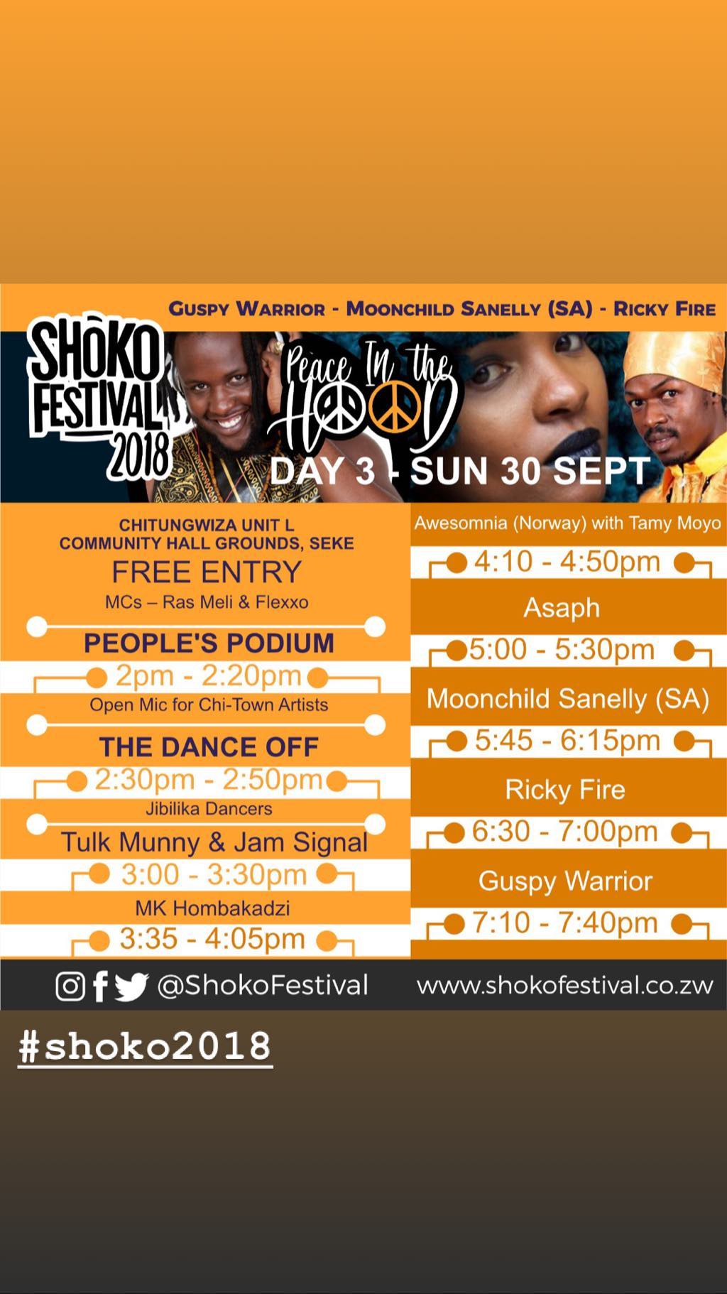 Shoko Festival 2018 and Zimbabwe Cholera Outbreak (IMG 3).jpg