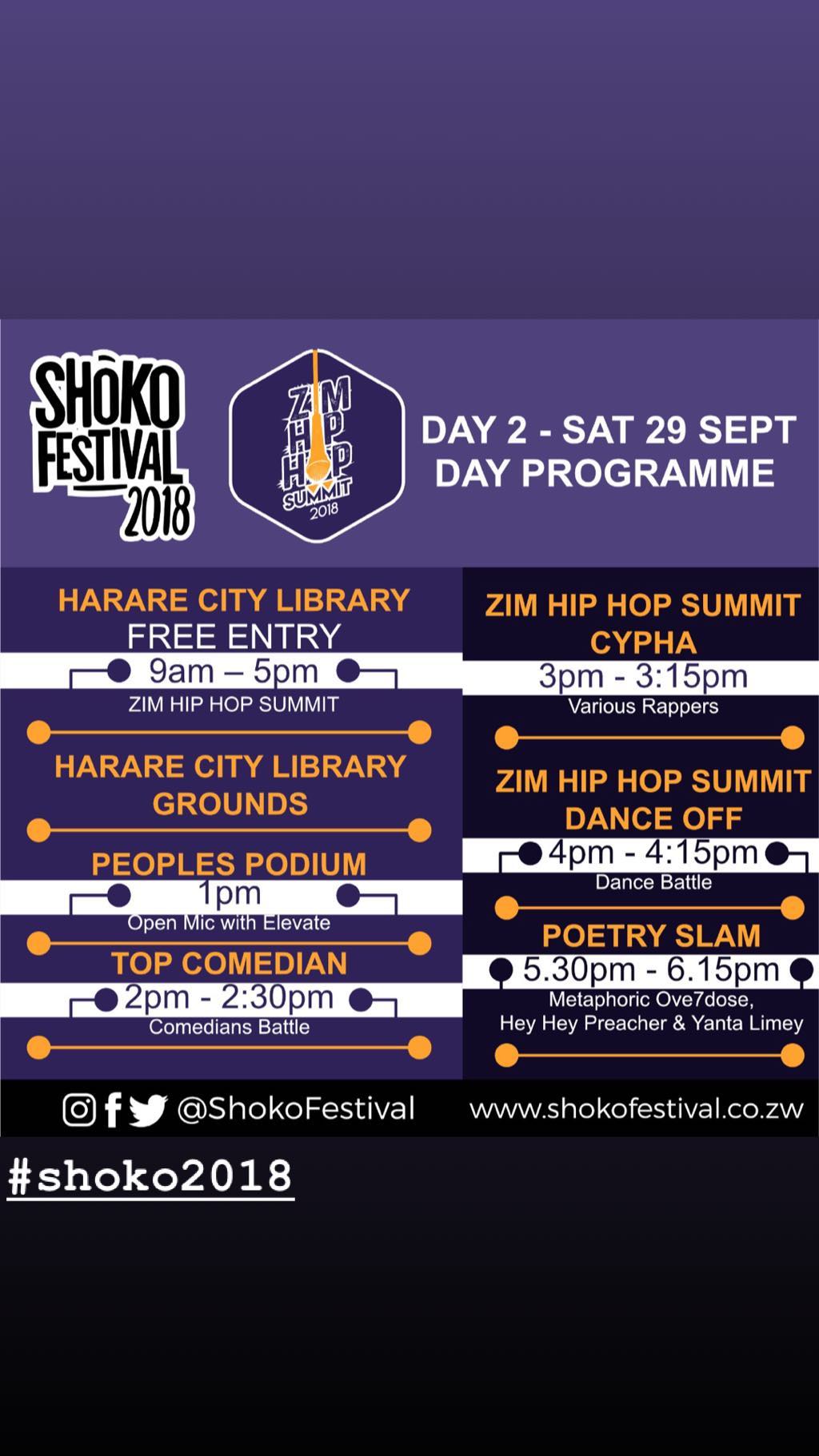 Shoko Festival 2018 and Zimbabwe Cholera Outbreak (IMG 4).jpg