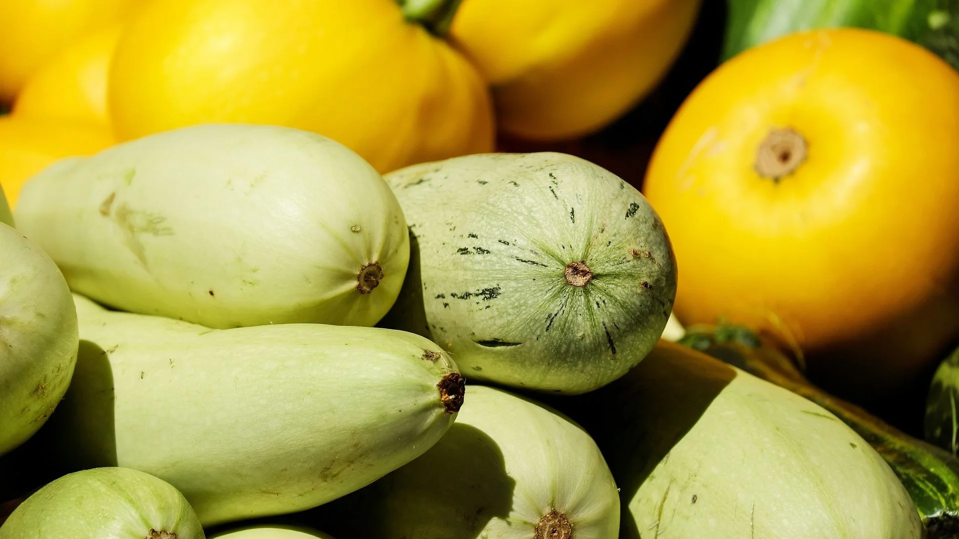Skinny Summer Secret Eat More Zucchini