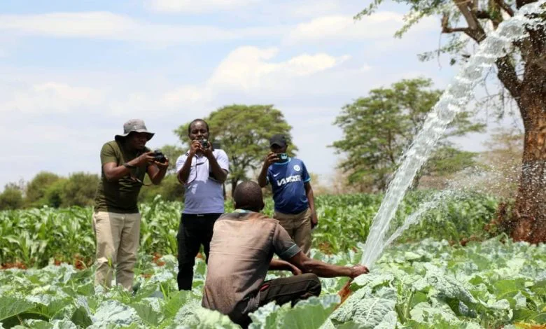 Solar power lights up East Africa’s farms and futures