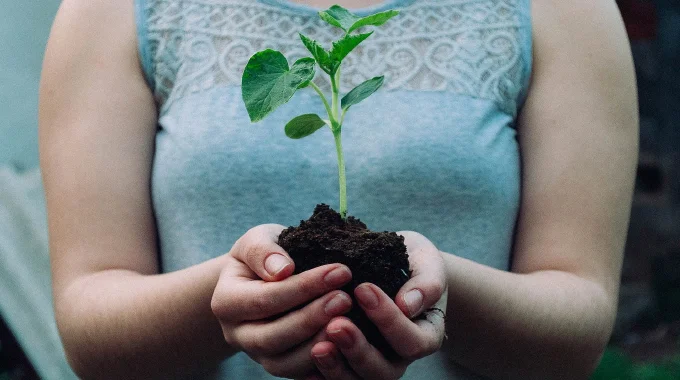 Stop seeking permission to grow and spread your wings