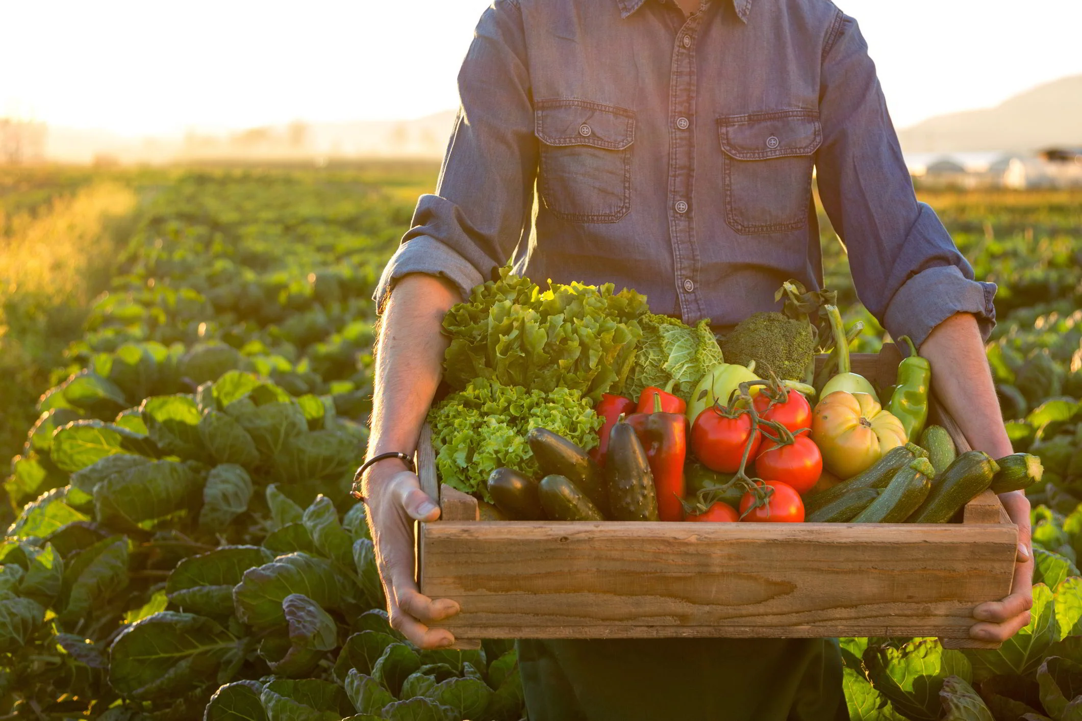 Strained Global Food System Demands Cross-Sector Collaboration