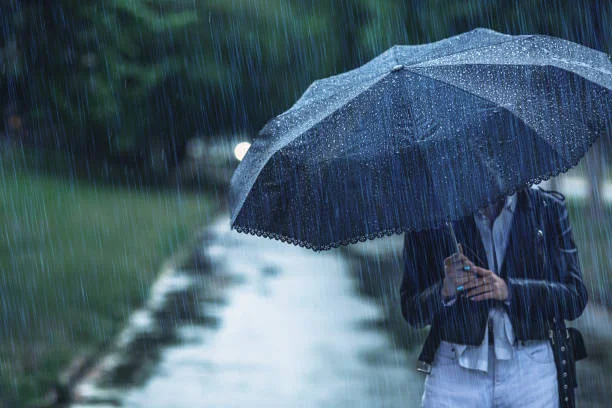 Tanzania's weather nerds hit 88% accuracy