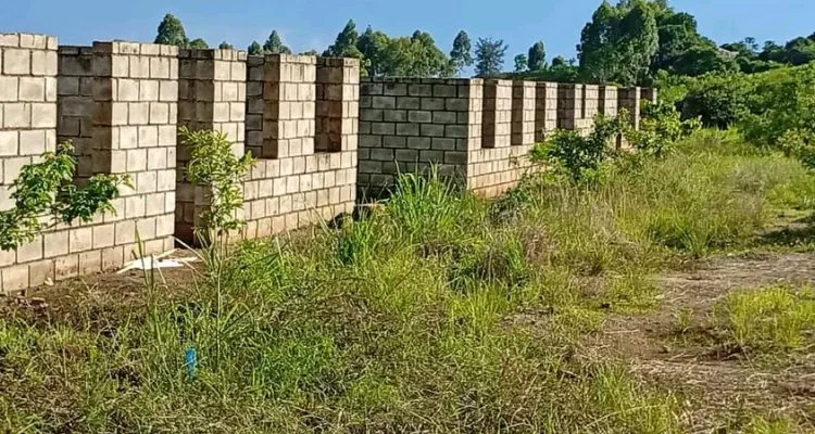 Thyolo’s stalled skills school is finally getting built
