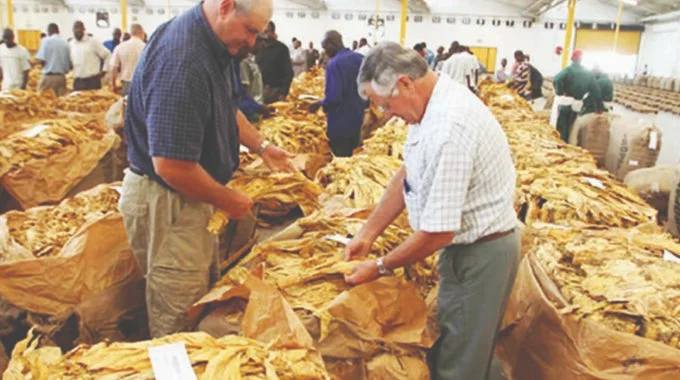 Tobacco Traders Panic Over Revised TIMB Dates