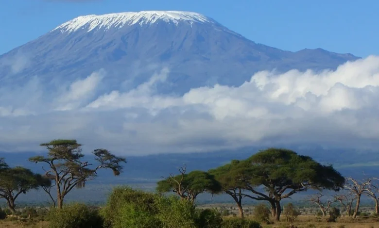 Tourism climbs high, Kilimanjaro workers rise