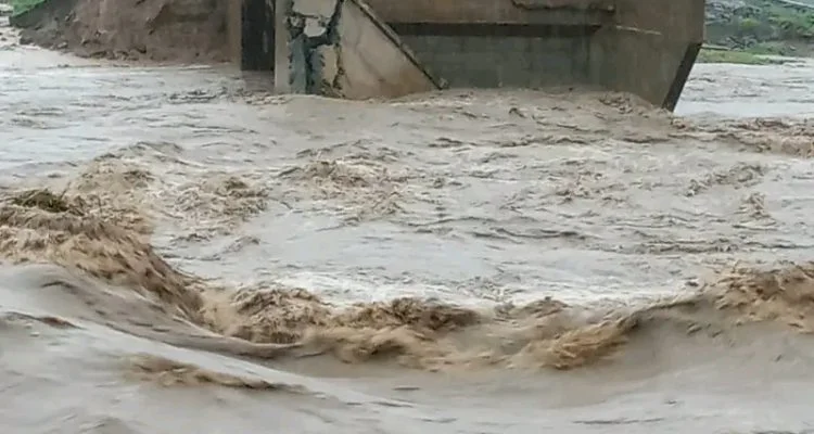 Trees gone, bridges follow—Kandiyesa sounds alarm
