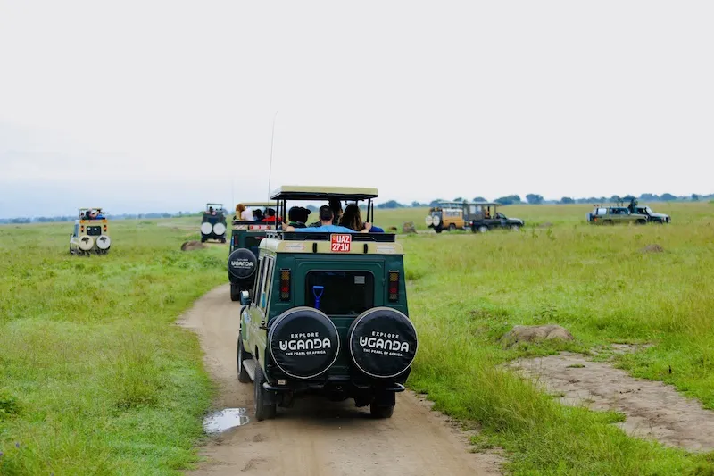 Uganda courts US tour agents in a fresh drive to boost American tourism