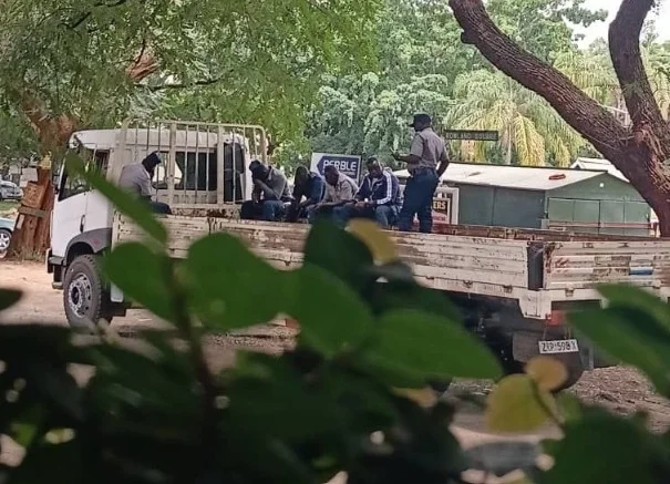 Unidentified men assault Tendai Biti's driver, threaten CDF launch