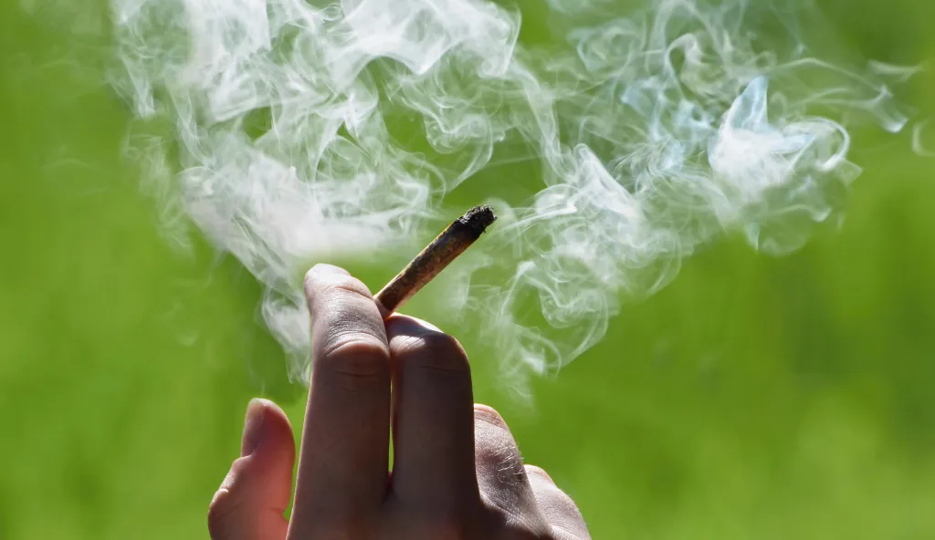 Vertanical's low-THC drug cuts back pain without high