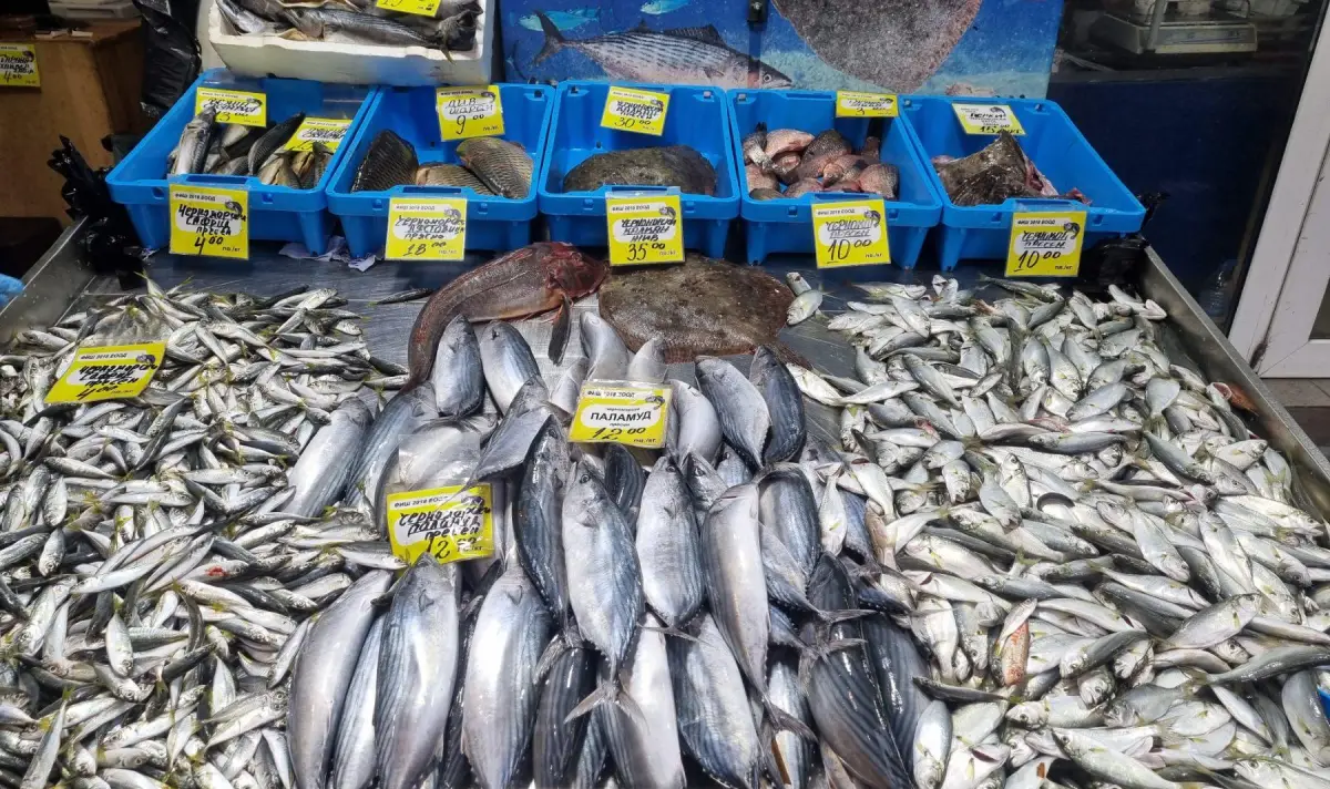 Warm seas shift Black Sea fish mix