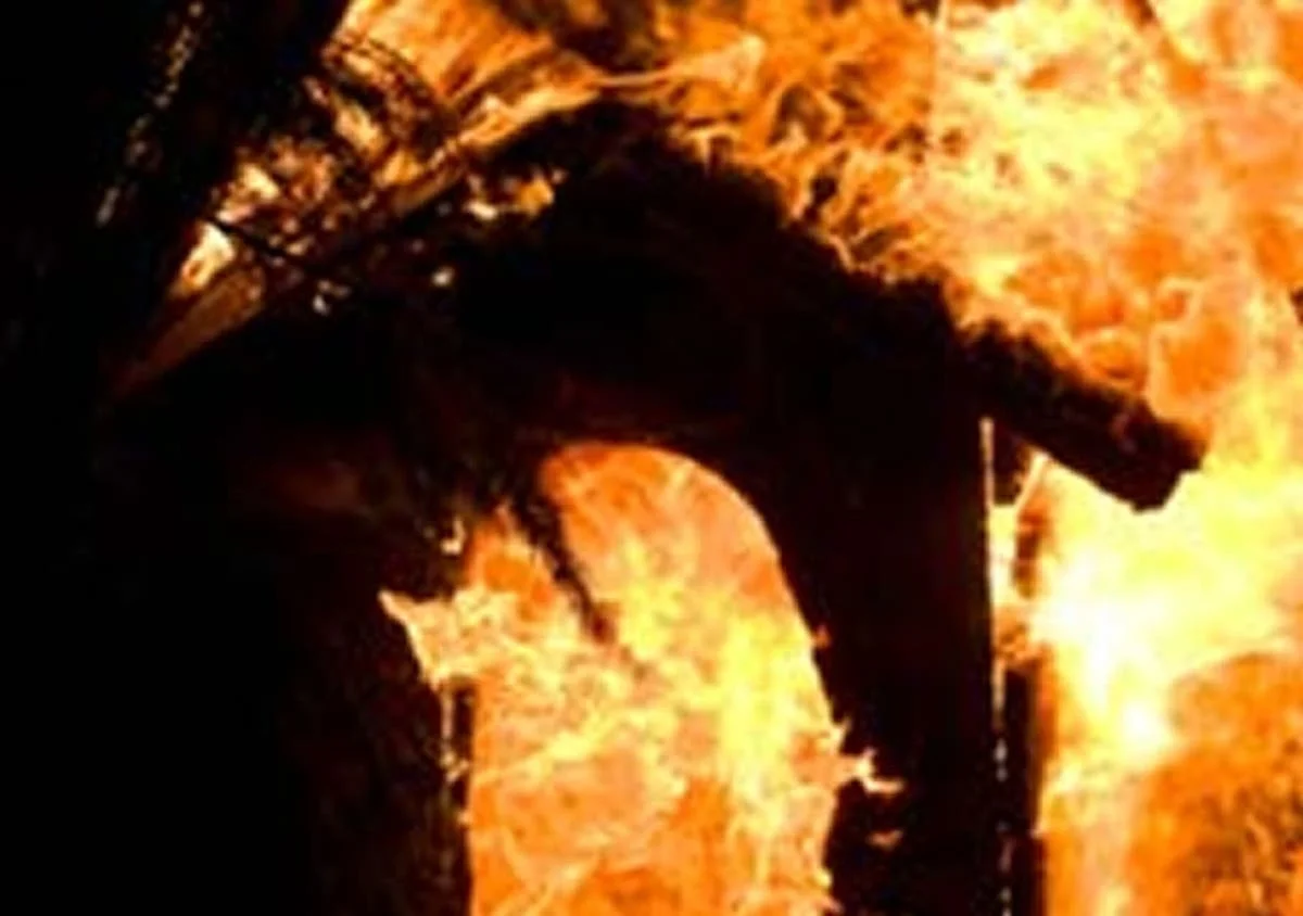 Watson Nyoni gets 24 months for burning huts