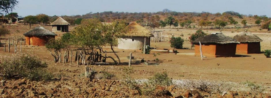 Zaka village head George Muvavi flees after alleged stabbings