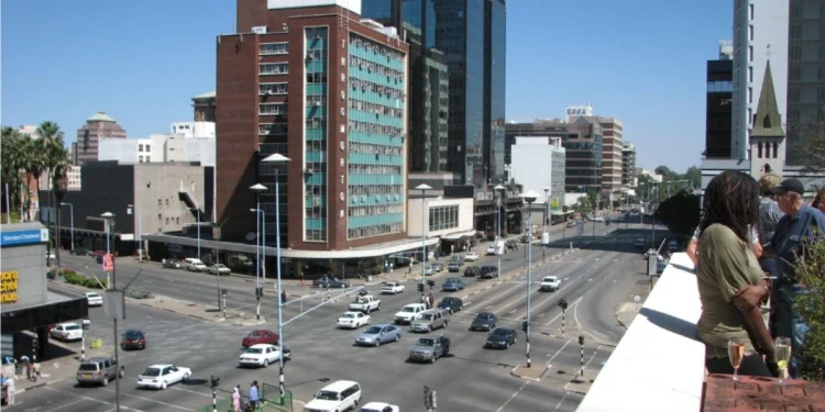 Zim goes AI on traffic, robots now call shots