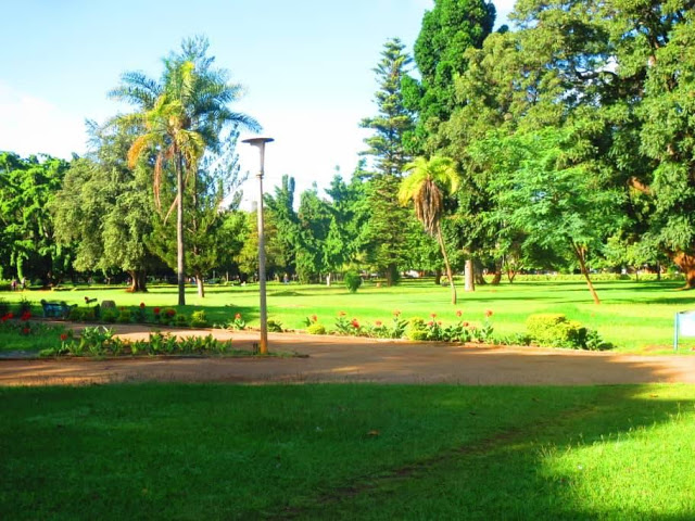 Zim News - Harare Gardens 2020 - IMG5.jpg