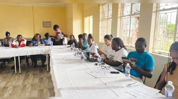 Zim women stick to pills, family planners push long-term fixes