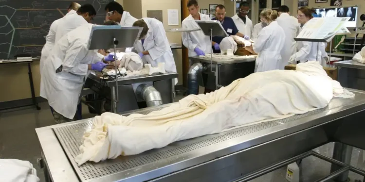 Zimbabwe medical schools beg for body donations as crisis grows