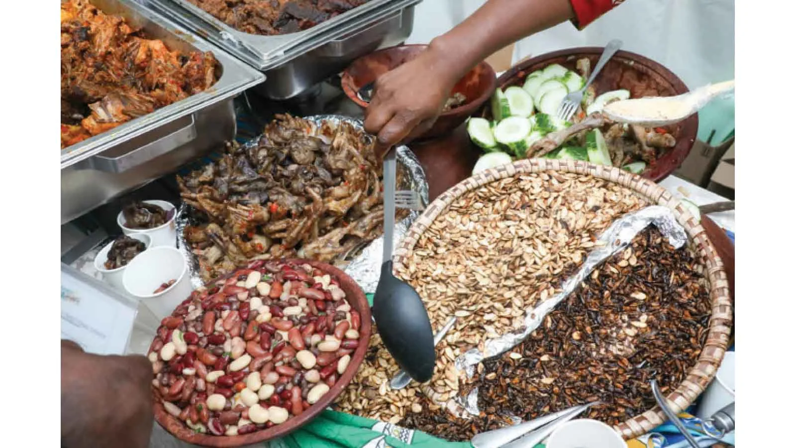 Zimbabwe officials target your snacks because you cannot eat properly