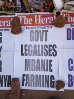 Mbanje Legal in Zimbabwe - Medical Marijuana now Legal in Zimbabwe - Cannabis Farming in Zimba...jpg