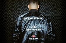 Drake Scorpion Album.jpg