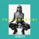 Tatendanhai - Ungand’di (Zim Hip Hop Music).webp
