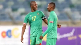 Warriors set for World Cup Qualifiers.webp