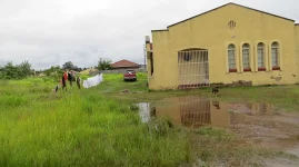 Harare land barons hijack green spaces.webp