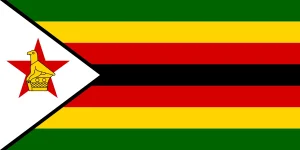 Zimbabwe Coup 2025 - M31 Movement.webp