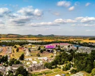 Electric Picnic set to rock this August.webp