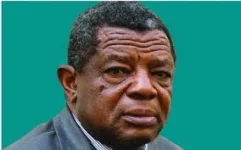 Zim War Vet Calls Protest to Topple Mnangagwa.webp