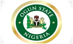 Ogun rolls out extra help lines for survivors.webp