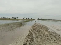 Flood-hit roads need N$230m fix says RA boss Lutombi.webp