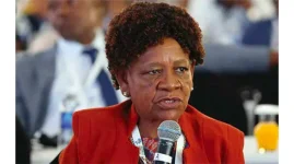 Mnangagwa Appoints Ndlovu and Nguluvhe to Ministerial Posts.webp