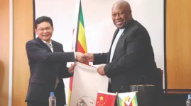 Zimbabwe and Hunan Team Up on Mining and Growth.webp
