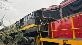 Luxury Train Trip to Vic Falls Cut Short by Crash.webp