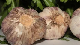 Raw garlic is your new secret health hack.webp
