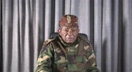 Stay Home Until Mnangagwa Quits Zimbabwe.webp