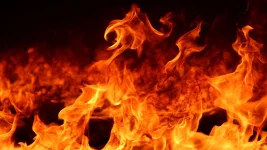 Wild blaze at Dizelny warehouse in Shushary.webp