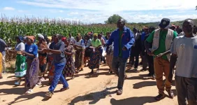 Mzimba Farmers Score Big with Smart Farming Tech.webp