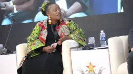 Zimbabwe Factories Scramble to Survive Crisis.webp
