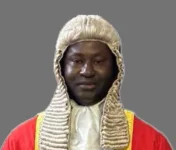 Gambia Civil Service Hit by Wild Shakeup.webp