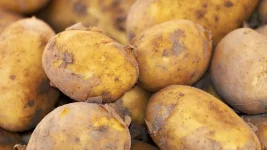 Potatoes Are Dieters Secret Appetite Killer.webp