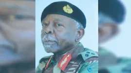 Frenzy as Zimbabwe Hails Two War Heroes.webp