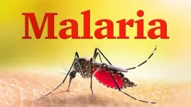 Malaria Crisis Hits Zimbabwe as Deaths Surge.webp
