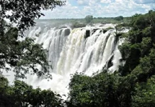 Zambezi Fury Turns Victoria Falls into Roaring Beast.webp