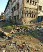Mbare set to explode with new flats after bed bug scare.webp