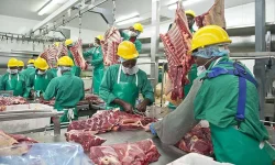 Taxpayers shell out 312m to bail out Meatco.webp